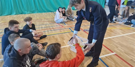 Powiększ grafikę: edukacja-rowiesnicza-uczniowie-ucza-uczniow-690521.jpg