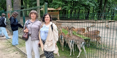 Powiększ grafikę: iii-g-i-ii-gk-w-oliwskim-zoo-628181.jpg