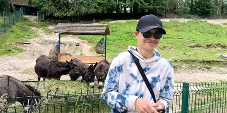Powiększ grafikę: iii-g-i-ii-gk-w-oliwskim-zoo-628182.jpg