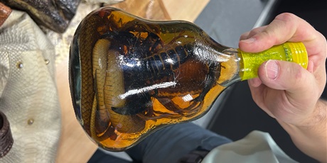 Powiększ grafikę: lekcja-outdoorowa-w-ramach-miedzyszkolnego-programu-edukacji-obywatelskiej-650947.jpg