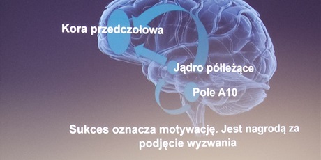 Powiększ grafikę: na-jubileuszowej-x-konferencji-edukacyjnej-bezee-574252.jpg