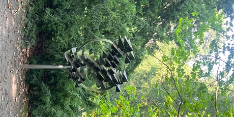 Powiększ grafikę: przyroda-w-mikro-i-makroskali-636704.jpg