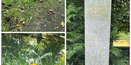 Powiększ grafikę: przyroda-w-mikro-i-makroskali-636706.jpg
