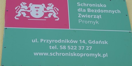 Powiększ grafikę: uczniowie-conradinum-odwiedzili-schronisko-dla-bezdomnych-zwierzat-w-gdansku-kokoszkach-153294.jpg